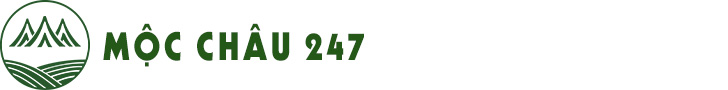 Mộc Châu 247